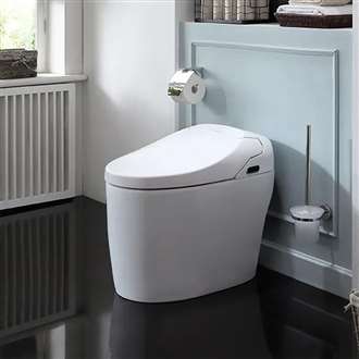 Fontana automatic flush valve for commercial restroom touchpoint reduction